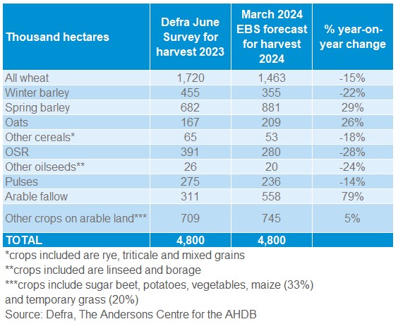 Table of the results of the March 2024 re-run of AHDB's Early Bird Survey of potential cropped areas